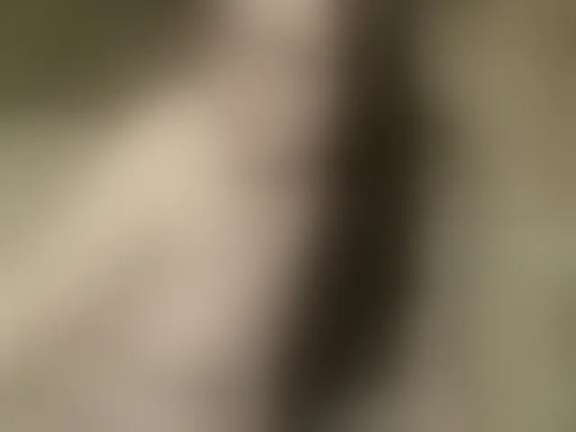 Live sex webcam photo for FancyLily #291944604