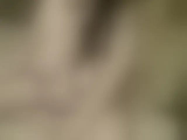 Live sex webcam photo for FancyLily #292242959