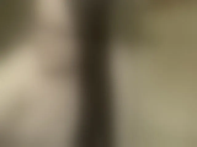 Live sex webcam photo for FancyLily #292383900