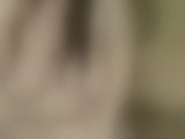 Live sex webcam photo for FancyLily #292406976