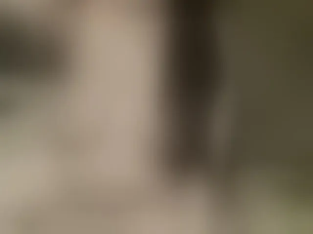 Live sex webcam photo for FancyLily #292429236