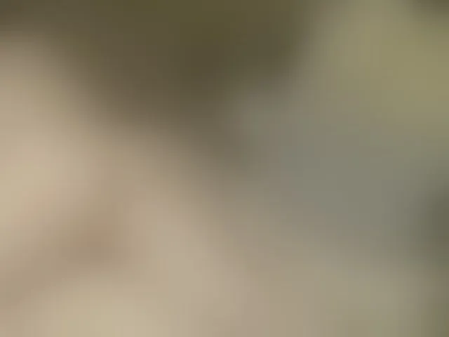 Live sex webcam photo for FancyLily #292659713
