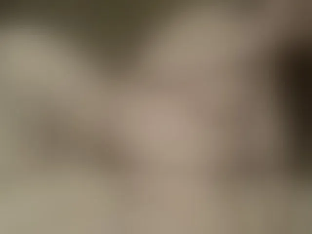 Live sex webcam photo for FancyLily #292661992
