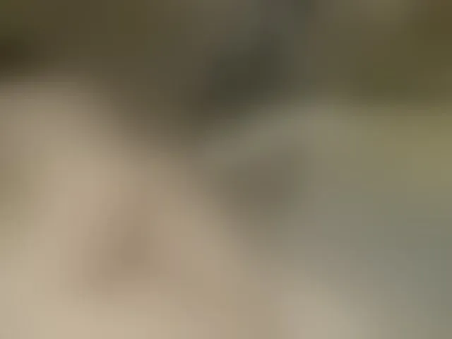 Live sex webcam photo for FancyLily #292668381