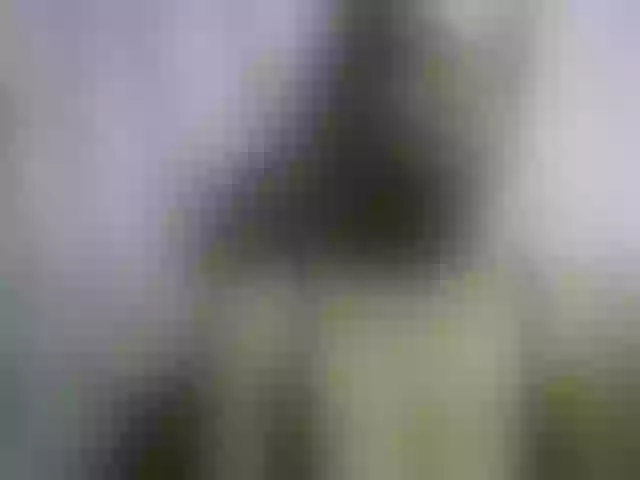 Live sex webcam photo for Fanihsexy #291974926