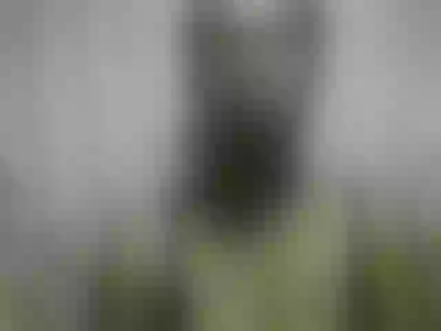 Live sex webcam photo for Fanihsexy #291983630