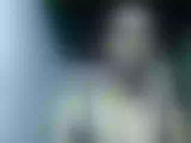 Live sex webcam photo for Fanihsexy #292262561
