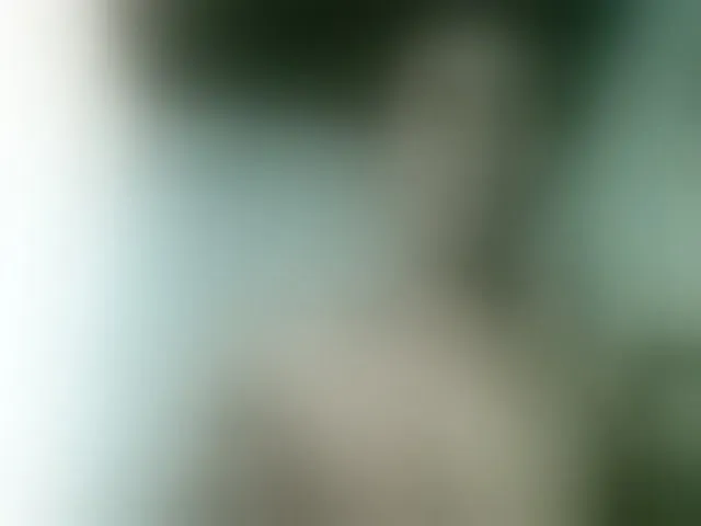 Live sex webcam photo for Fanihsexy #292386709