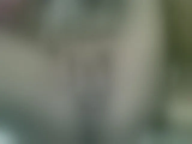 Live sex webcam photo for Fanihsexy #292580582