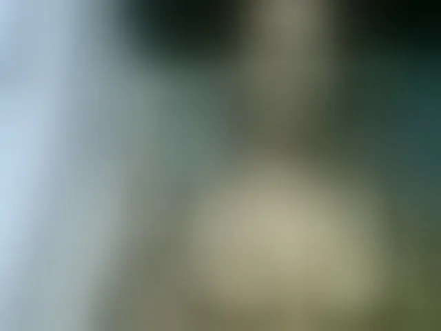 Live sex webcam photo for Fanihsexy #293281603