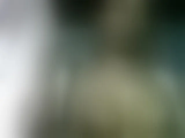 Live sex webcam photo for Fanihsexy #293309991