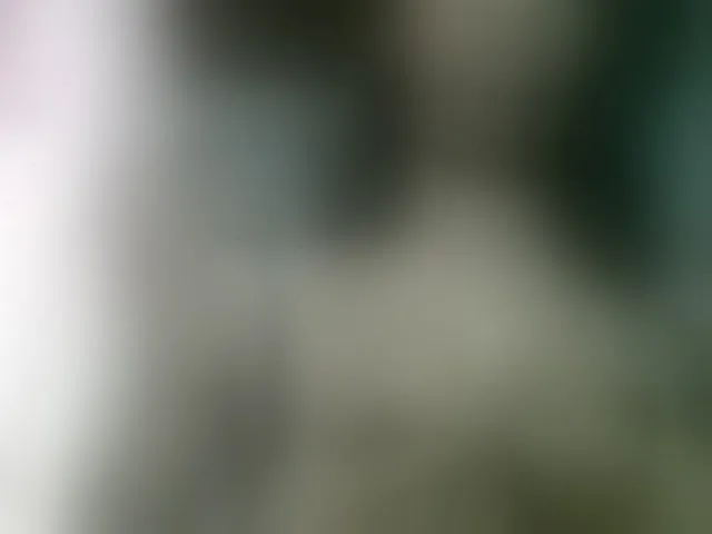 Live sex webcam photo for Fanihsexy #293335411