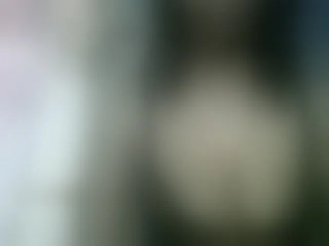Live sex webcam photo for Fanihsexy #293337057