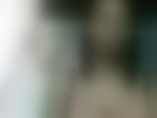 Live sex webcam photo for Fanihsexy #293343270