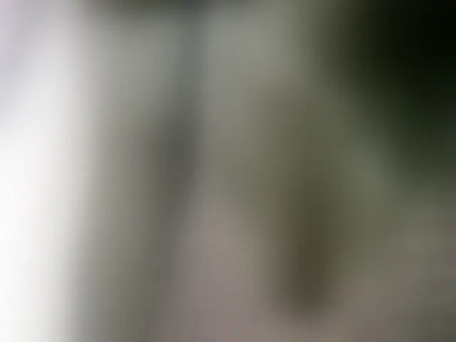 Live sex webcam photo for Fanihsexy #293378257