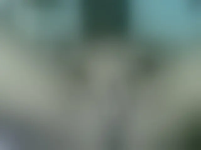Live sex webcam photo for Fanihsexy #293383906