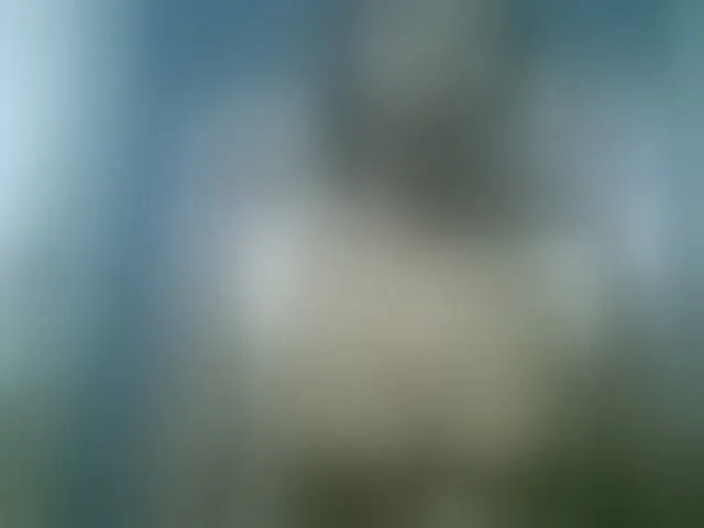 Live sex webcam photo for Fanihsexy #293595178