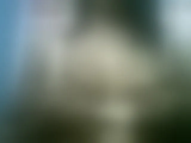 Live sex webcam photo for Fanihsexy #293691277