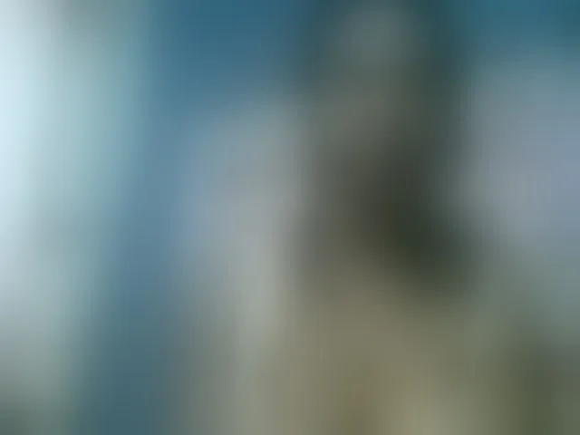 Live sex webcam photo for Fanihsexy #293845954