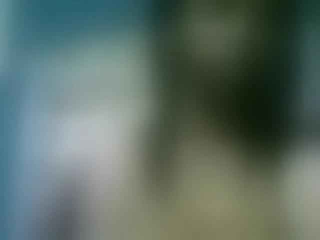 Live sex webcam photo for Fanihsexy #293885113