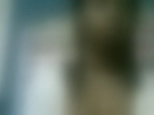 Live sex webcam photo for Fanihsexy #293888048