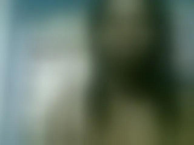 Live sex webcam photo for Fanihsexy #293890992