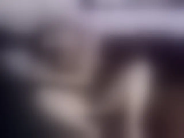 Live sex webcam photo for Fantasyca #292426727