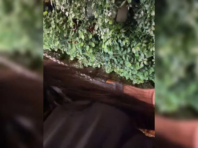 Live sex webcam photo for Fari1206 #291638848