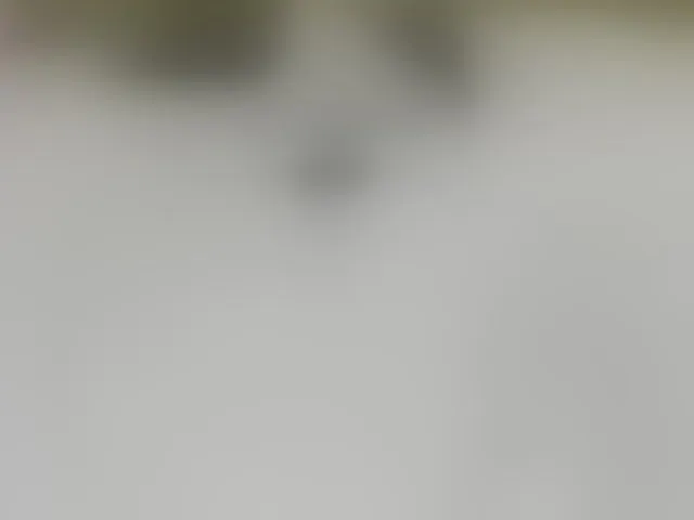 Live sex webcam photo for Fejlove #294109649