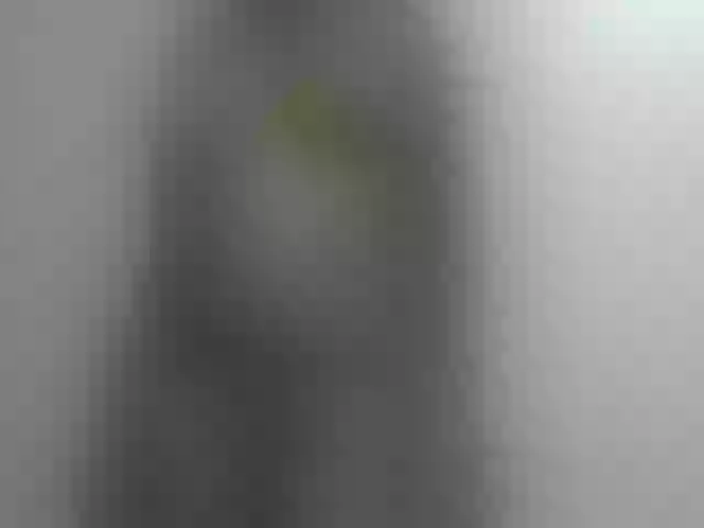 Live sex webcam photo for FelistaKeneddy #291238090