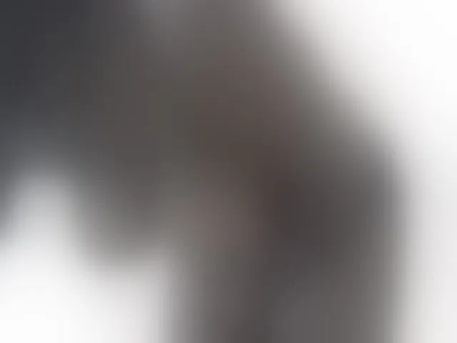 Live sex webcam photo for FelistaKeneddy #291492843
