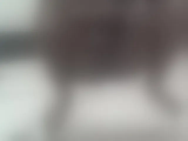 Live sex webcam photo for FelistaKeneddy #291607096