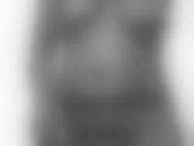 Live sex webcam photo for FelistaKeneddy #291627402