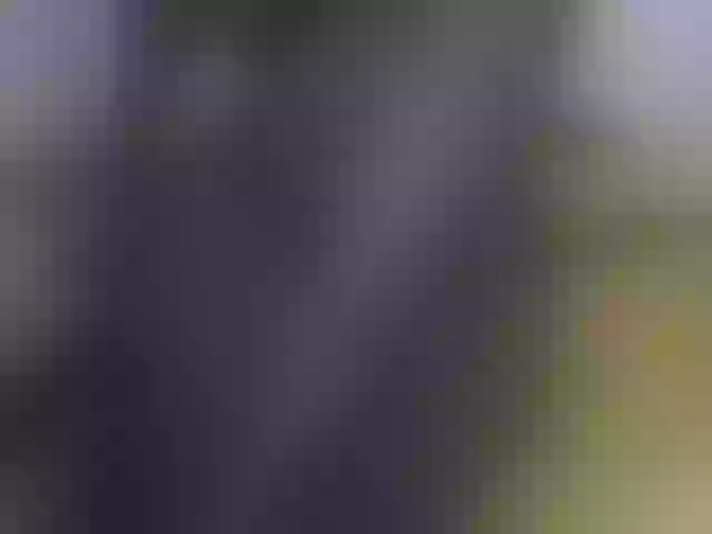 Live sex webcam photo for FelistaKeneddy #291724996
