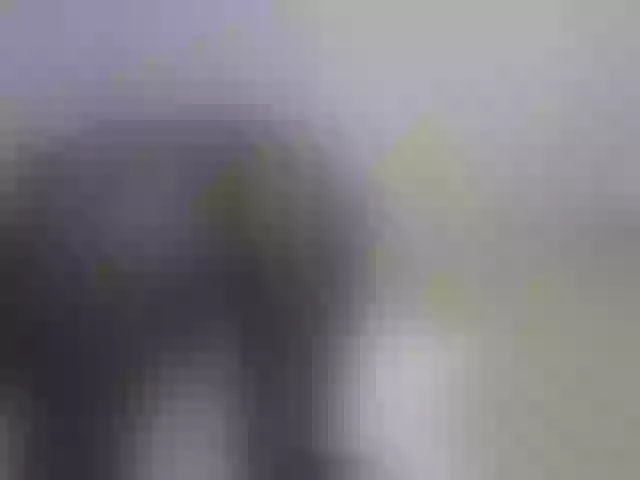 Live sex webcam photo for FelistaKeneddy #291822742