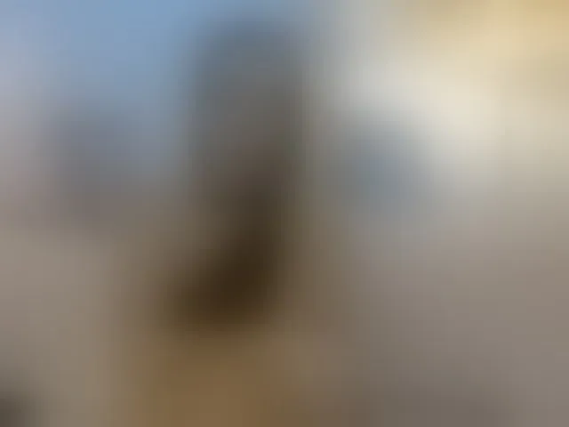 Live sex webcam photo for FeralFoxy #292458560