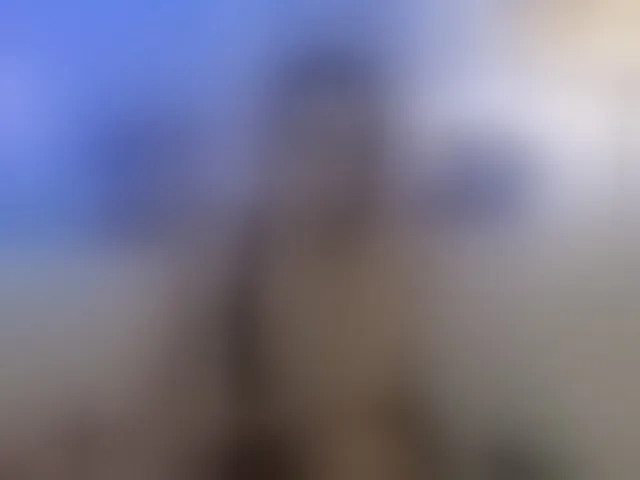 Live sex webcam photo for FeralFoxy #292819116