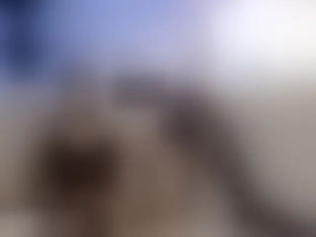Live sex webcam photo for FeralFoxy #293097451