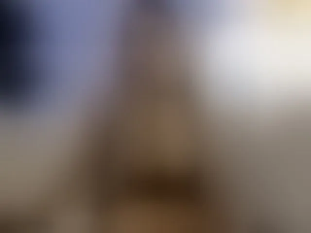 Live sex webcam photo for FeralFoxy #293300270