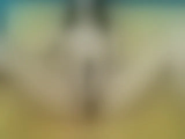 Live sex webcam photo for Fionna #292226629