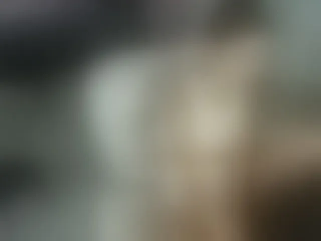 Live sex webcam photo for Flexy-Cat #293377080