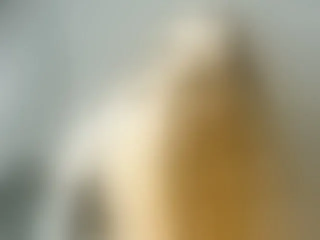 Live sex webcam photo for Flexy-Cat #293671027