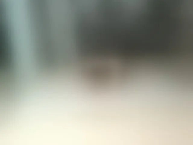 Live sex webcam photo for Flexy-Cat #293705987