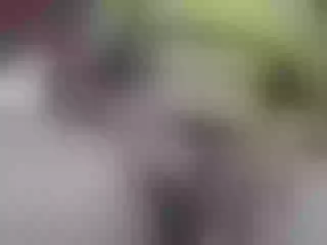 Live sex webcam photo for Florinah2 #290394823