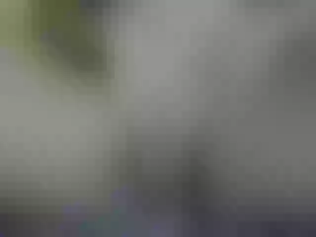 Live sex webcam photo for Florinah2 #290558847