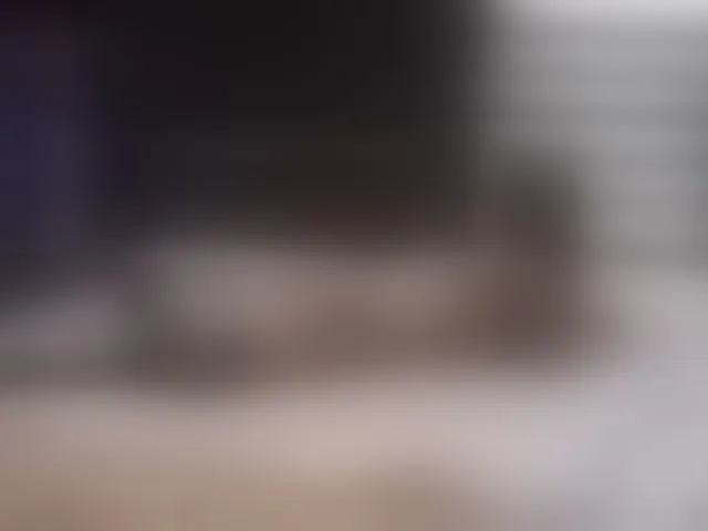 Live sex webcam photo for Forget-Mi-Not #292624636
