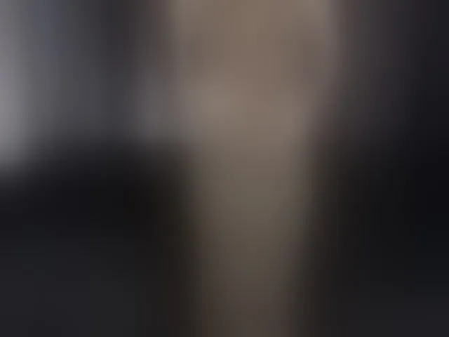 Live sex webcam photo for FoxFever #292468946