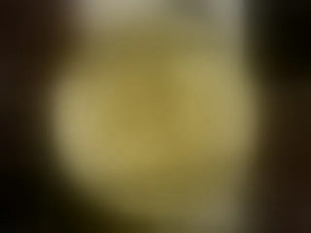 Live sex webcam photo for Foxe-Sailey #292578855