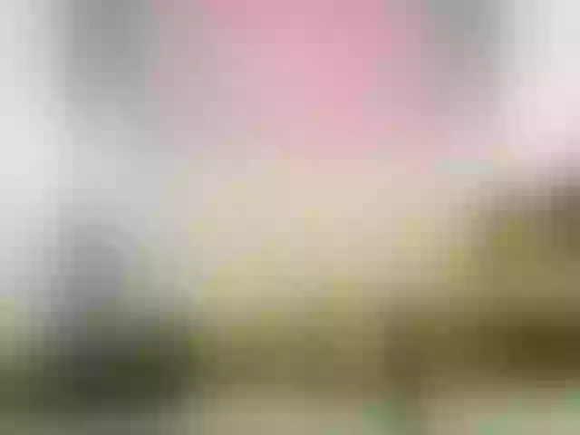 Live sex webcam photo for Foxy-Ella #291649654