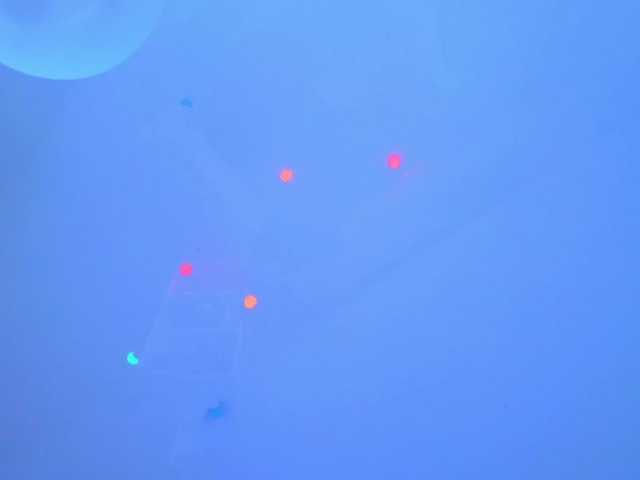 Live sex webcam photo for FrankieFoxie #291218386